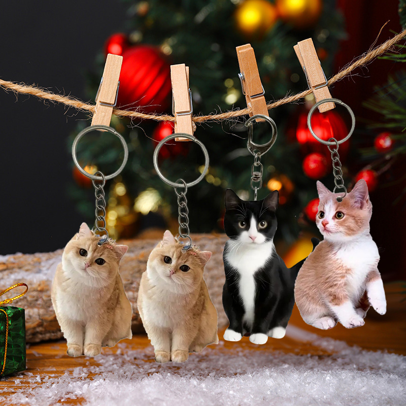 Schwarz-weißer Katzen-Schlüsse – Resin Art Ring Design Bewertung und Preis