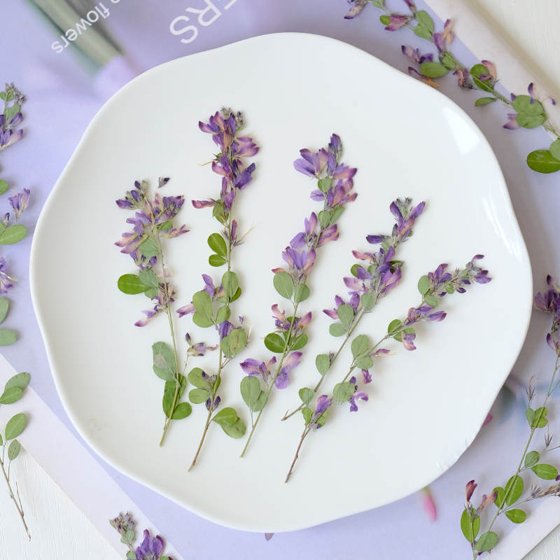 6 Stück, natürliche getrocknet – Resin Art Baby Bewertung und Preis