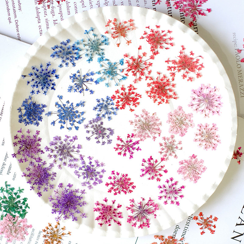 24 Stück, 2-2,5 cm, Naturgefär – Resin Art Baby Bewertung und Preis