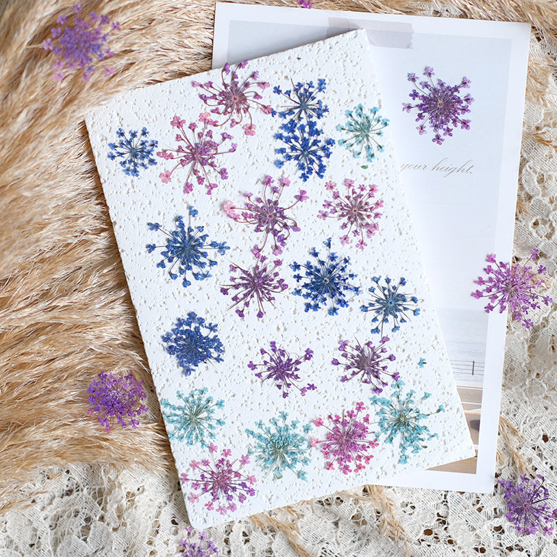 24 Stück, 2-2,5 cm, Naturgefär – Resin Art Baby Bewertung und Preis